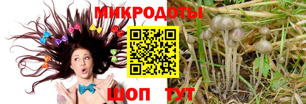 Сарапул  Галлюциногенные грибы прущие грибы  Вход с VPN  Псилоцибиновые грибы MAGIC MUSHROOMS 